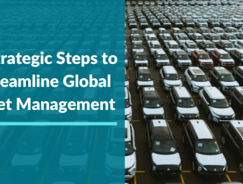 Global fleet management strategy